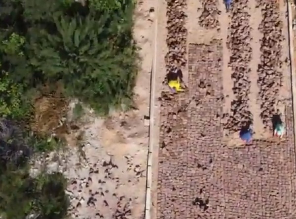 Construção do calçamento da Rua 1 de Maio - Bairro Viana