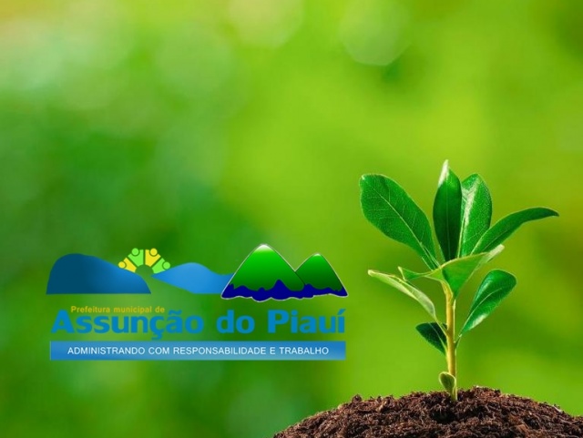Assuno do Piau conquista Selo Ambiental no ICMS Ecolgico 2020 