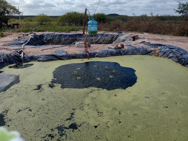 SMA de Assuno do Piau realiza visitas tcnicas aos  piscicultores do municpio 

