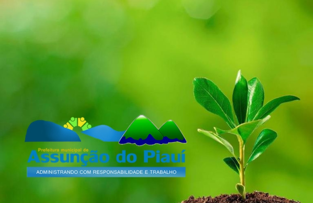 Assunção do Piauí conquista Selo Ambiental no ICMS Ecológico 2020 
